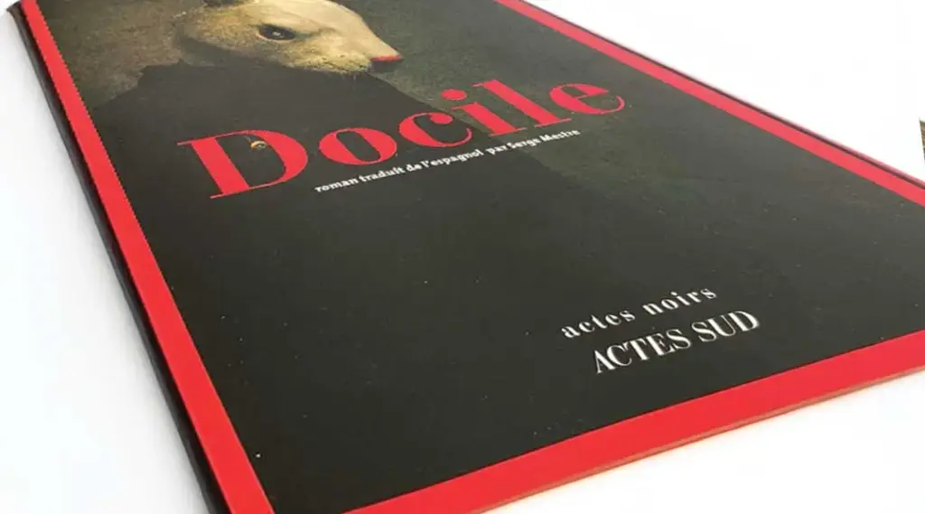 « Docile » d’Aro Sáinz de la Maza